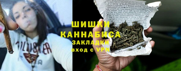 дживик Белокуриха