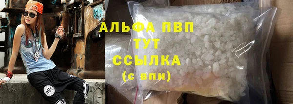 дживик Белокуриха