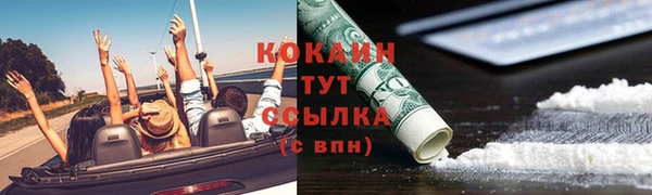 дживик Белокуриха