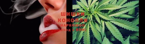 крисы Белоозёрский