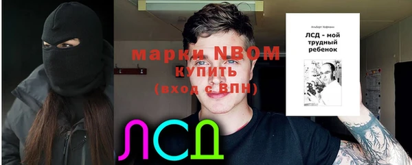крисы Белоозёрский