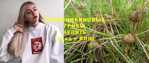 дживик Белокуриха