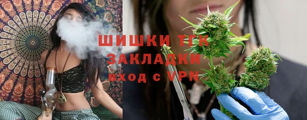 крисы Белоозёрский