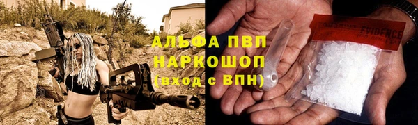 дживик Белокуриха