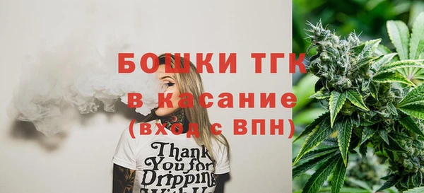 дживик Белокуриха